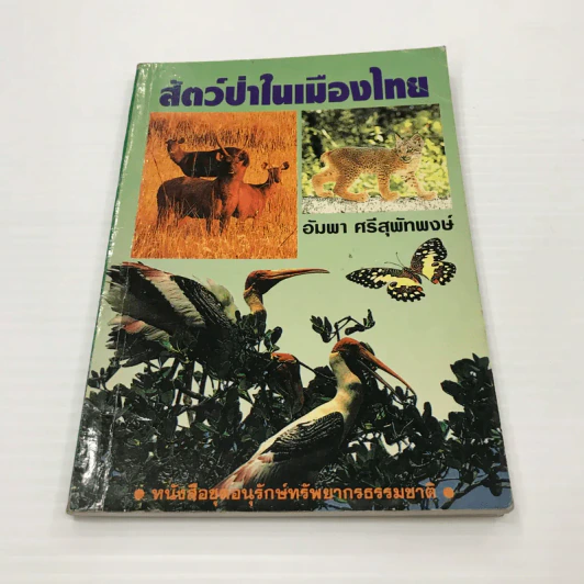 สัตว์ป่าในเมืองไทย - อัมพา ศรีสุพัทพงษ์ รูปที่ 1