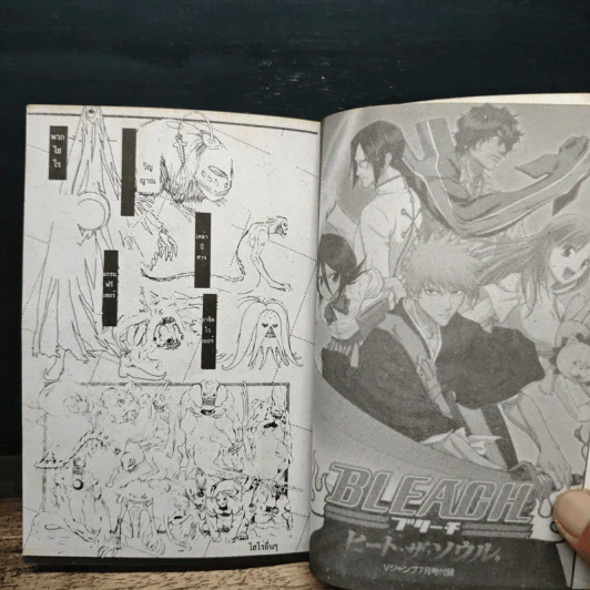 BLEACH เทพมรณะ ภาคพิเศษ รูปที่ 9