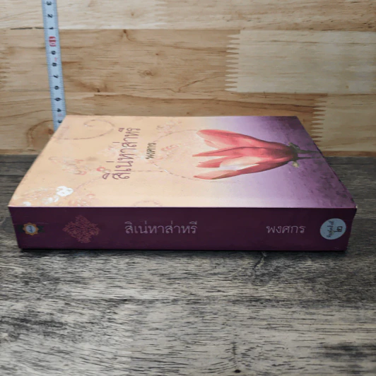 สิเน่หาส่าหรี รูปที่ 2