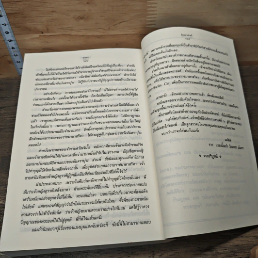 สิเน่หาส่าหรี รูปที่ 8