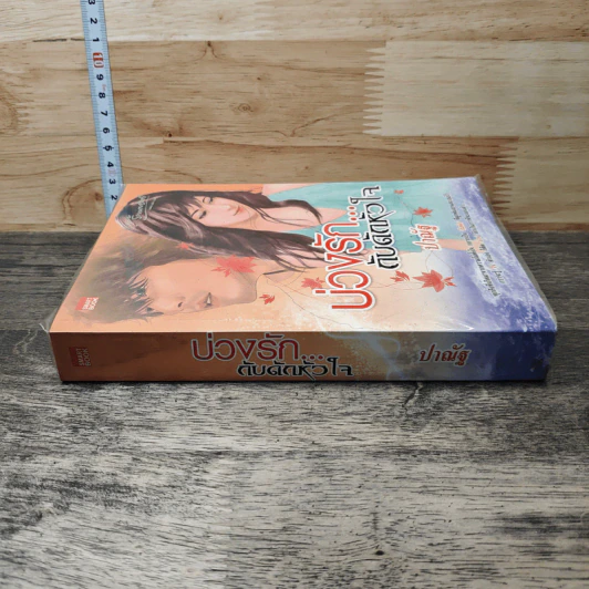 หนังสือ บ่วงรัก...กับดักหัวใจ รูปที่ 2