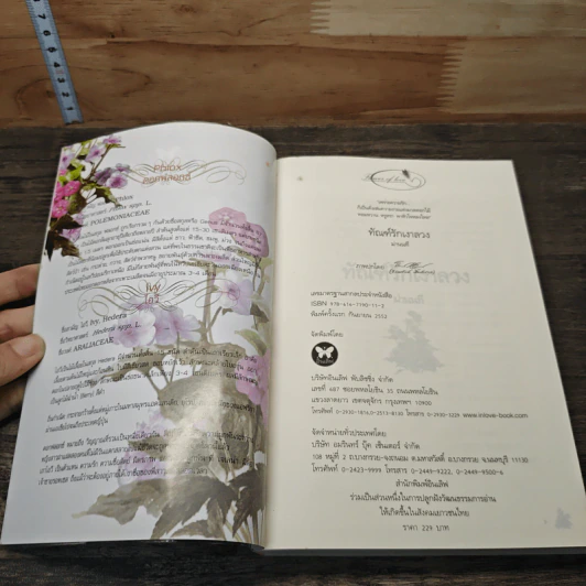 ทัณฑ์รักเงาลวง - ม่านนที รูปที่ 6