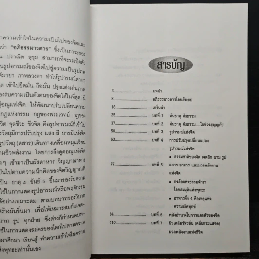 เพชรเกล็ดแก้ว อัญมณีแห่งปัญญา อภิธรรมาวตาร - อริยะ รูปที่ 8