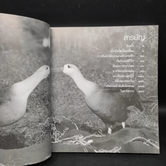 เมื่อเปิด...โลกจึงเปลี่ยน กาลาปากอส - ธรณ์ ธำรงนาวาสวัสดิ์ รูปที่ 7