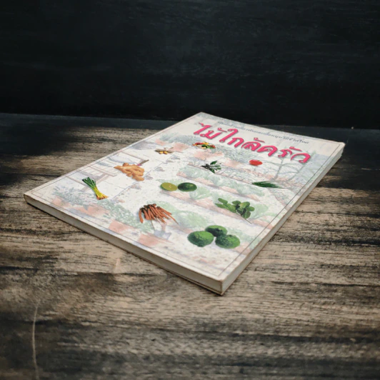 ไม้ใกล้ครัว - จำลอง ฝั่งชลจิตร รูปที่ 4