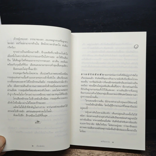 คลื่นลวง - กิ่งฉัตร รูปที่ 7