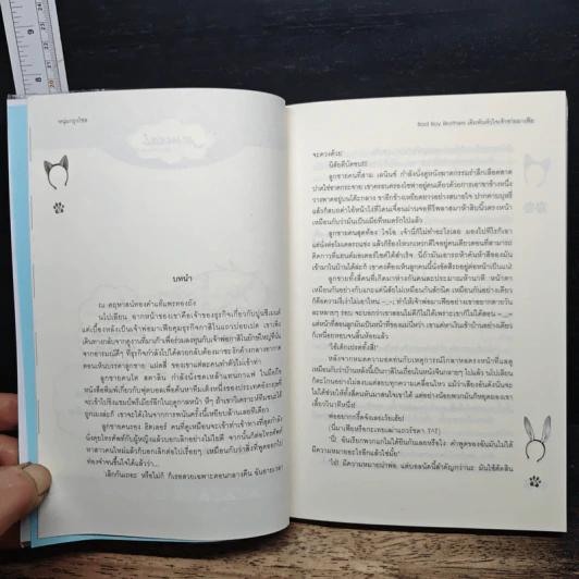 หนังสือ Bad Boy Brothers เดิมพันหัวใจเจ้าชายมาเฟีย รูปที่ 7