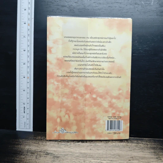 หนังสือ ขอรักเธออีกสักครั้งจะได้ไหม รูปที่ 2