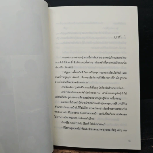 หนังสือ พี่น้อง 2 เลือด รูปที่ 10