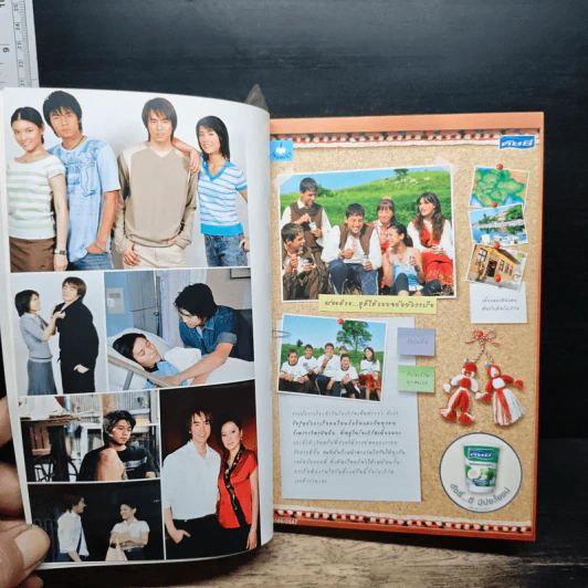 หนังสือ พี่น้อง 2 เลือด รูปที่ 8