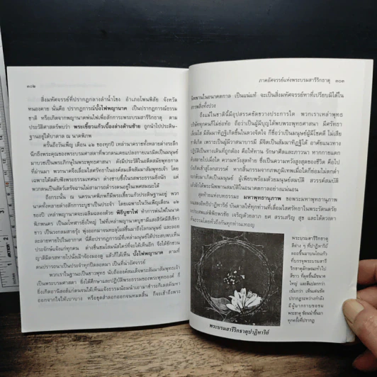 มหัศจรรย์แห่งมหาพุทธานุภาพ ตอน ปราบมารและโปรดธรรม รูปที่ 9