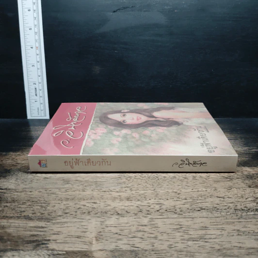 หนังสือ อยู่ฟ้าเดียวกัน รูปที่ 3