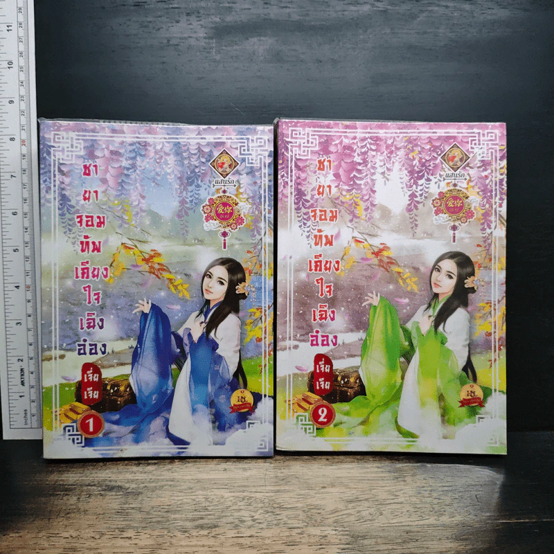 ชายาจอมทัพเคียงใจเฉิงอ๋อง 2 เล่มจบ - เจี่ยเจีย รูปที่ 1