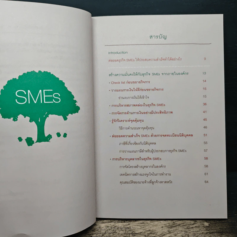 คู่มือธุรกิจ SMEs ตอน ต่อยอดความสำเร็จเพื่อธุรกิจไร้ขีดจำกัด รูปที่ 7