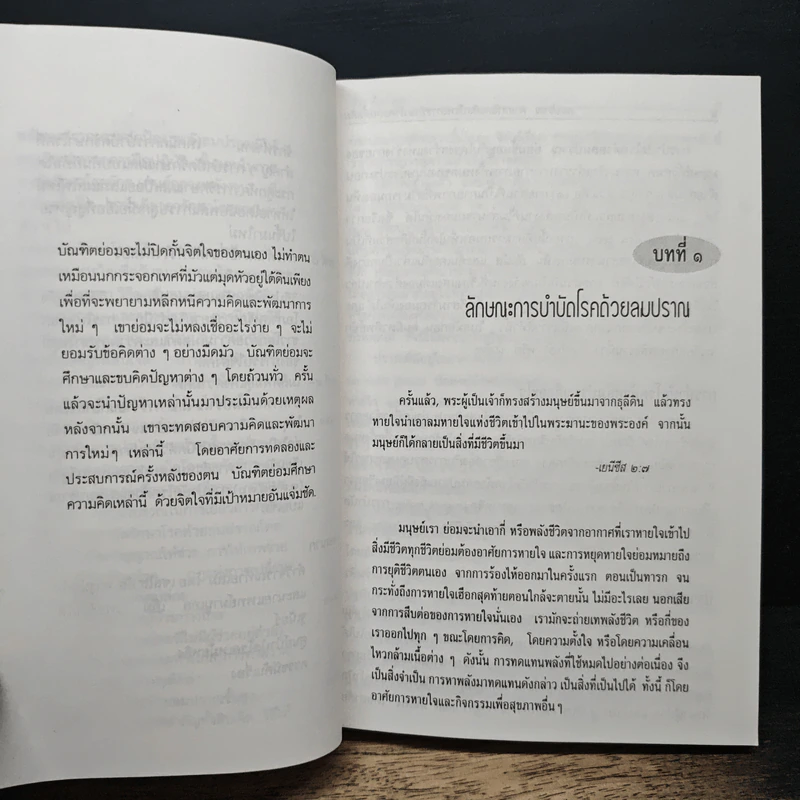 ลมปราณ ศาสตร์และศิลป์แห่งการรักษาโรคแบบดั้งเดิม - จ้าว ก็อก สุ่ย รูปที่ 10