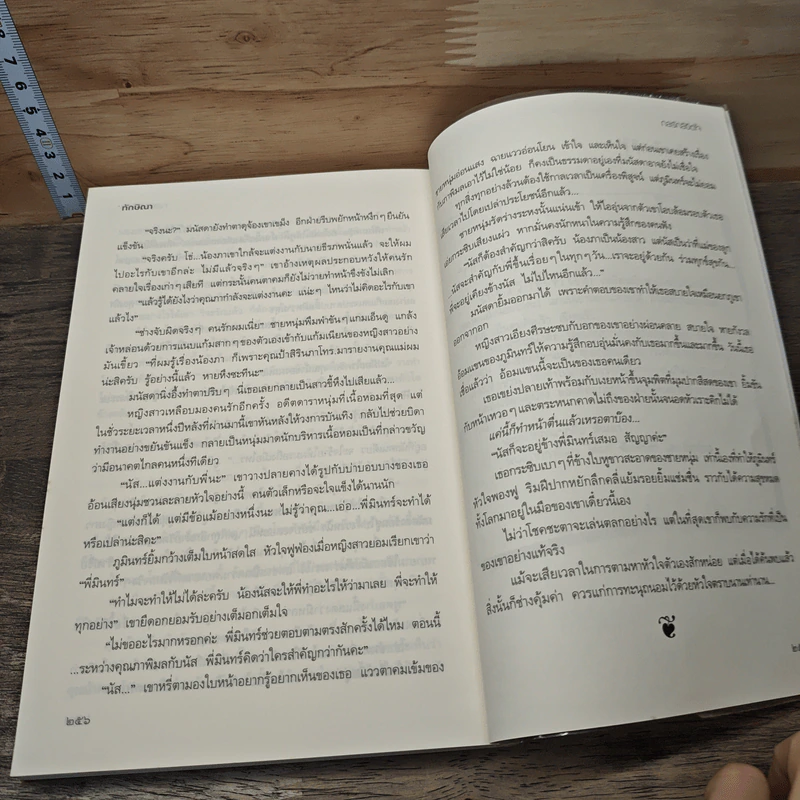 กลรักลิขิตใจ - ทักษิณา รูปที่ 8