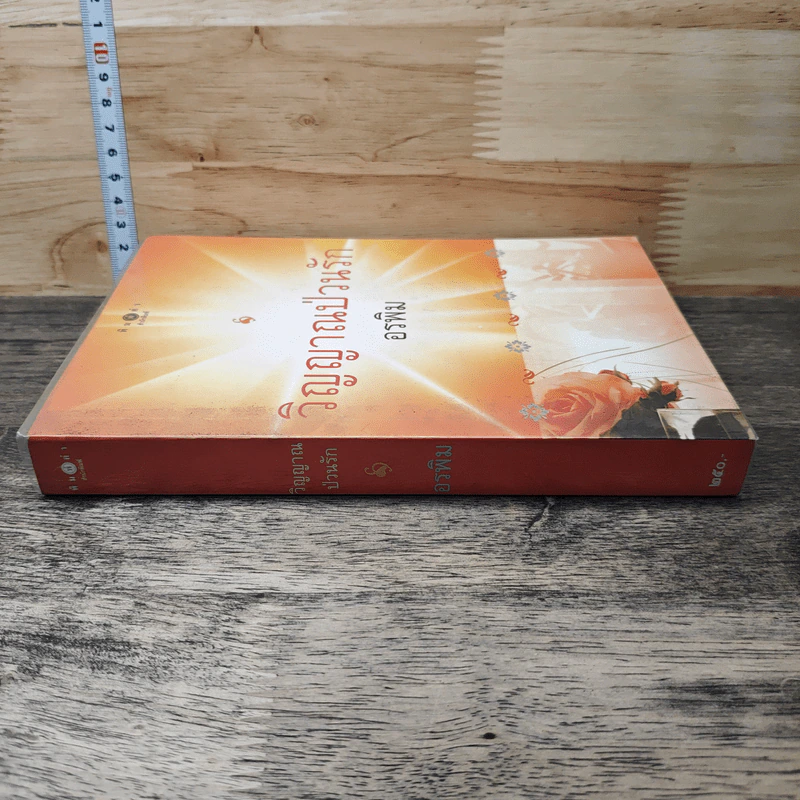 หนังสือ วิญญาณป่วนรัก รูปที่ 2