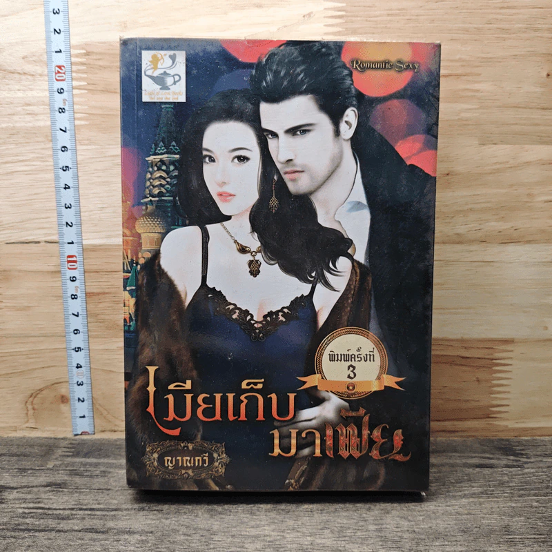 เมียเก็บมาเฟีย - ญาณกวี รูปที่ 1