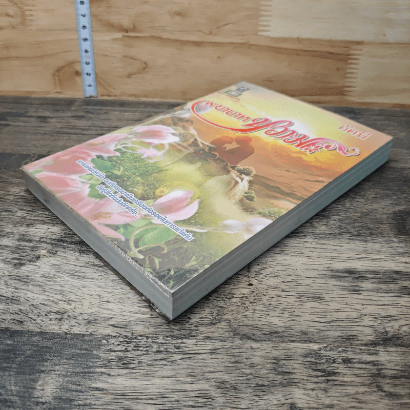 หนังสือ พยาบาทหวาม รูปที่ 3