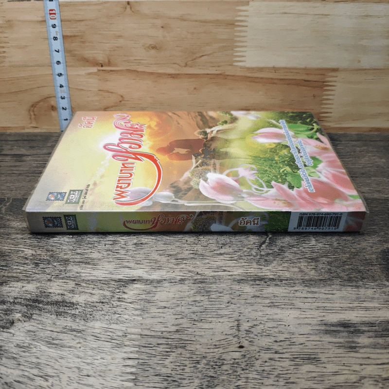 หนังสือ พยาบาทหวาม รูปที่ 2