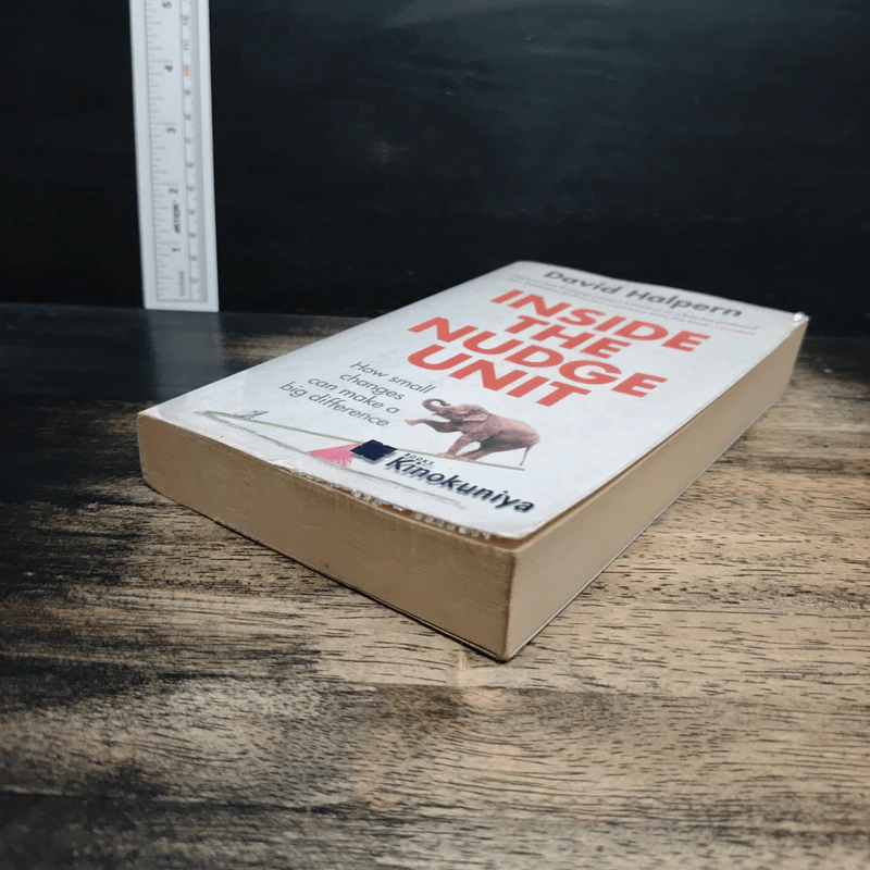 Inside the Nudge Unit - David Halpern รูปที่ 4