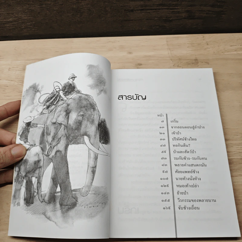 นายห้างป่าไม้ - ทัศน์ทรง ชมภูมิ่ง รูปที่ 7