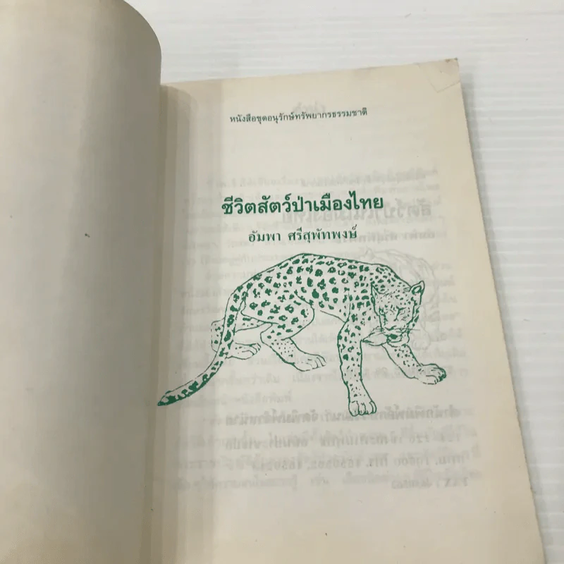 สัตว์ป่าในเมืองไทย - อัมพา ศรีสุพัทพงษ์ รูปที่ 6