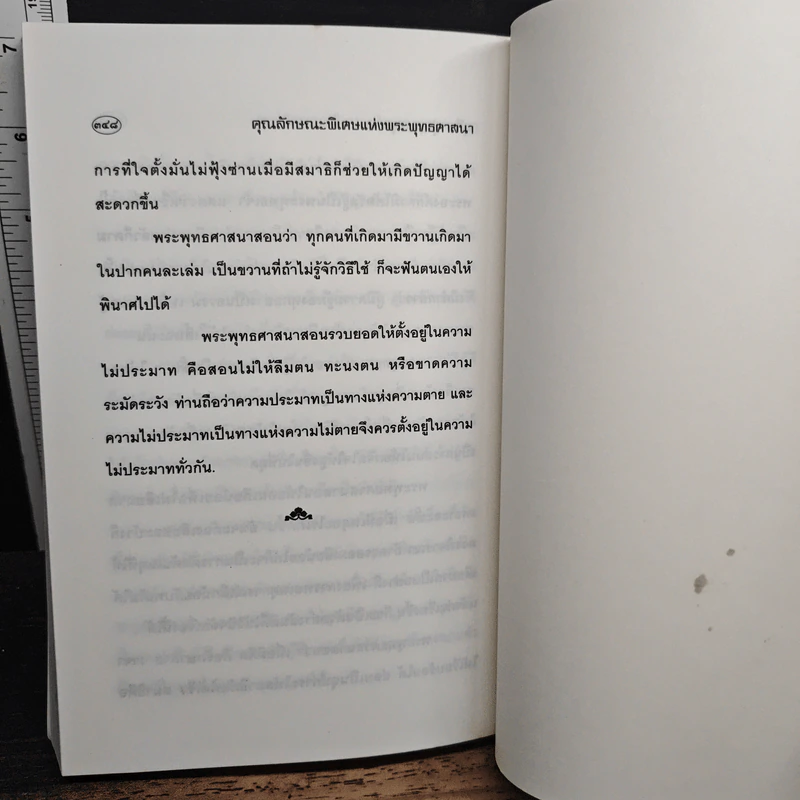 คุณลักษณะพิเศษแห่งพระพุทธศาสนา - สุชีพ ปุญญานุภาพ รูปที่ 11