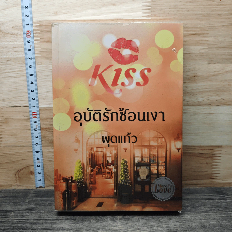 อุบัติรักซ้อนเงา - พุดแก้ว รูปที่ 1