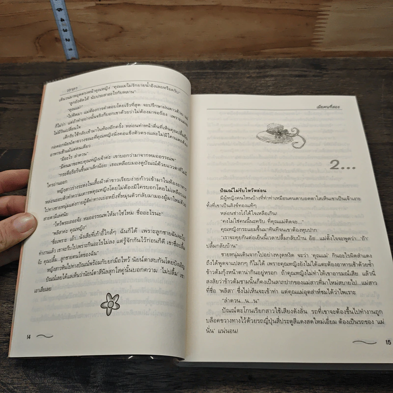 เมียคนที่สอง รูปที่ 7