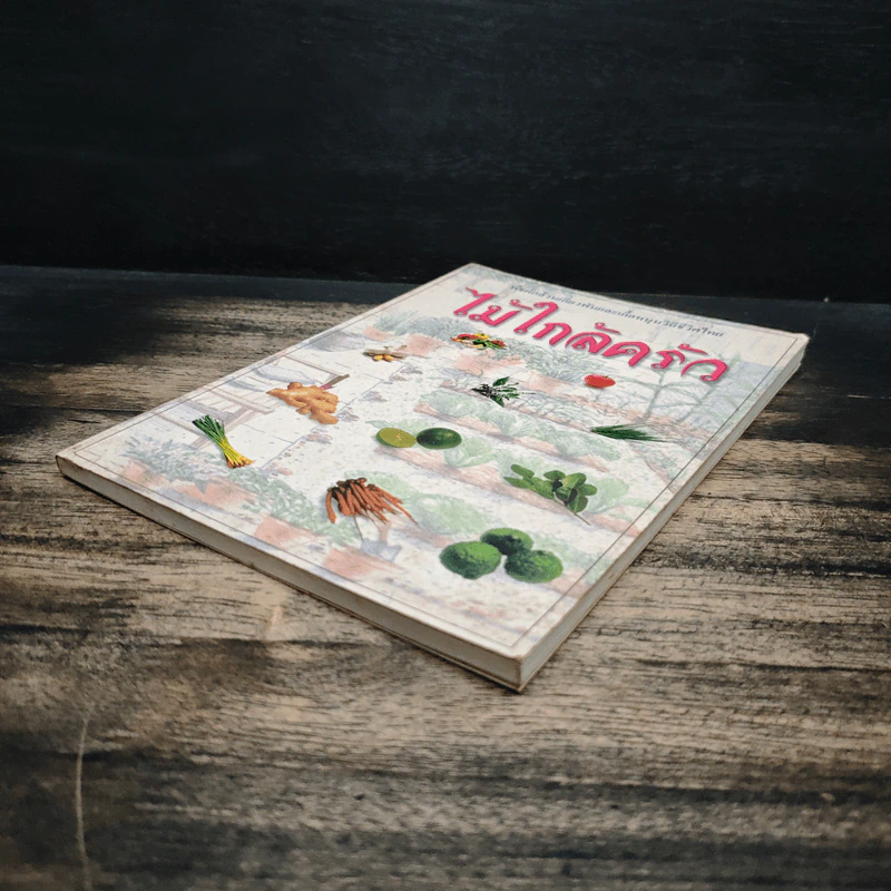 ไม้ใกล้ครัว - จำลอง ฝั่งชลจิตร รูปที่ 4