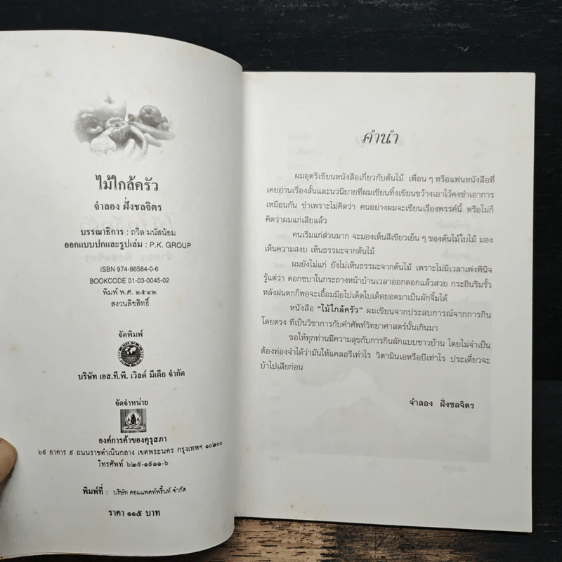 ไม้ใกล้ครัว - จำลอง ฝั่งชลจิตร รูปที่ 6