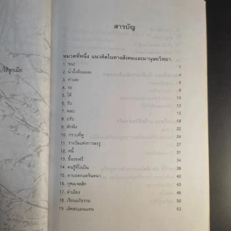 เสี้ยว ส่วนหนึ่งของชีวิตลูกคนที่เก้า - สุรชัย เหลืองไชยรัตน์ รูปที่ 10