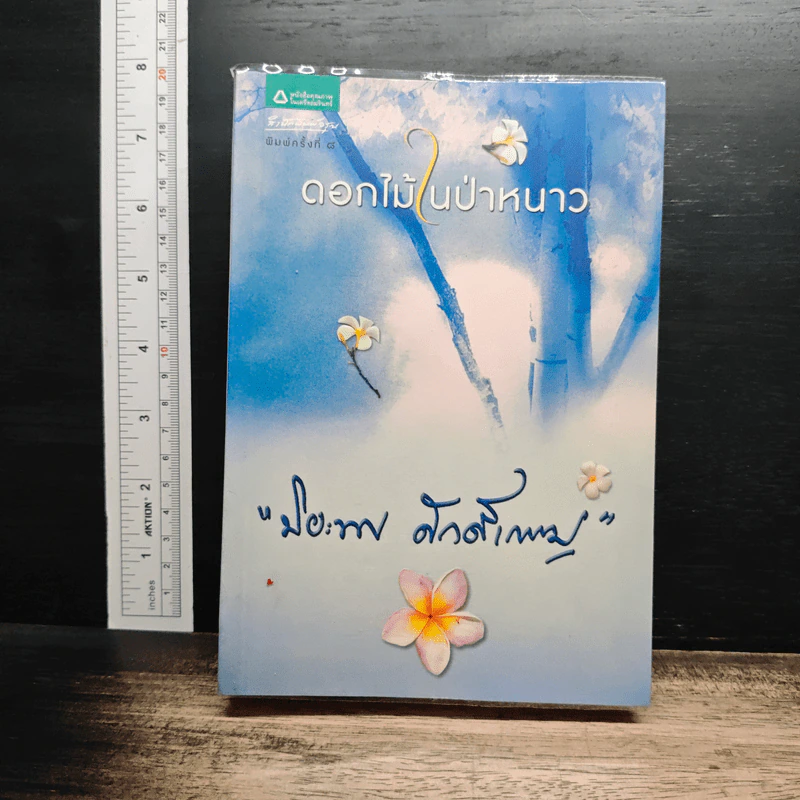 ดอกไม้ในป่าหนาว รูปที่ 1