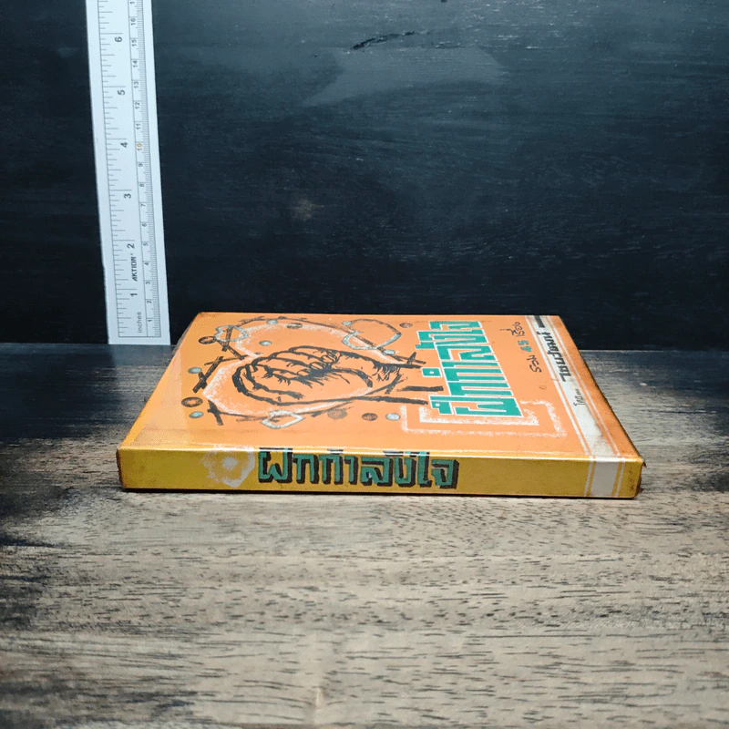 หนังสือ ฝึกกำลังใจ รวม 45 เรื่อง - ไชยวัฒน์ รูปที่ 3