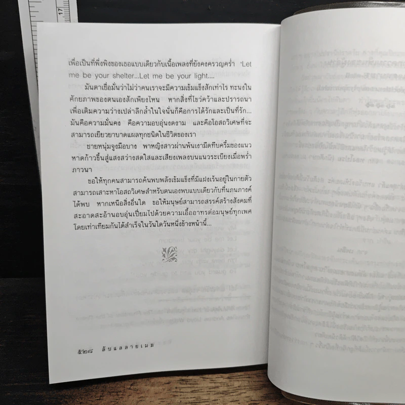 ลับแลลายเมฆ รูปที่ 8
