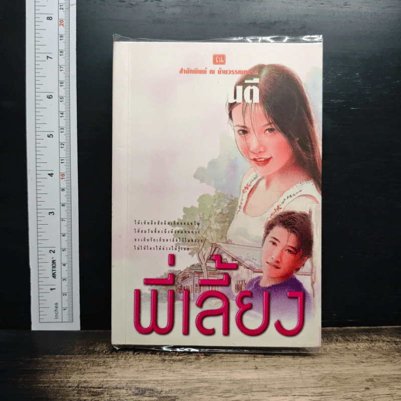 พี่เลี้ยง - ทมยันตี รูปที่ 1
