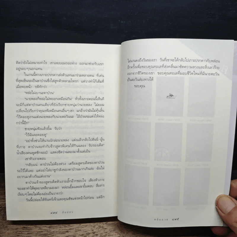 คลื่นลวง - กิ่งฉัตร รูปที่ 8