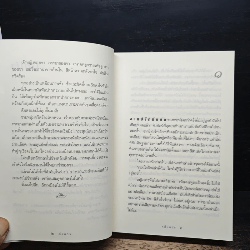 คลื่นลวง - กิ่งฉัตร รูปที่ 7