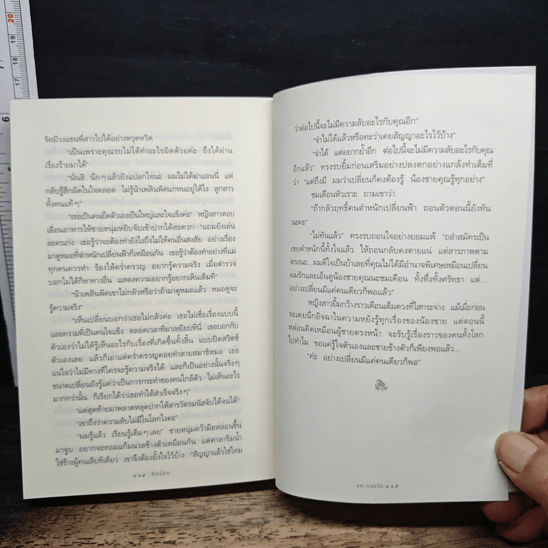แกะรอยรัก รูปที่ 8