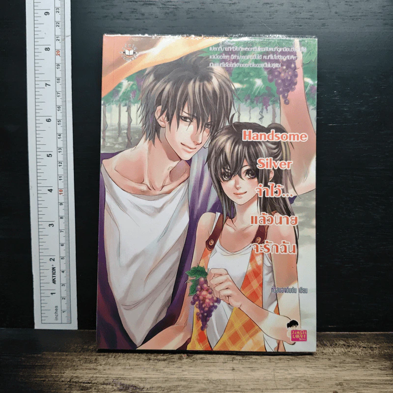 Handsome Silver จำไว้...แล้วนายจะรักฉัน รูปที่ 1