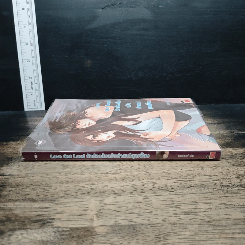 Love Out Loud รักต้องลับฉบับคำสาปสุดเพี้ยน รูปที่ 3