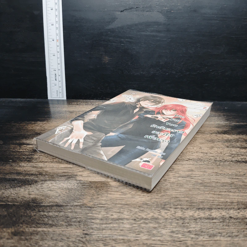 Die For You รักอันตรายยอมได้เพื่อเธอ - Hideko_Sunshine รูปที่ 4