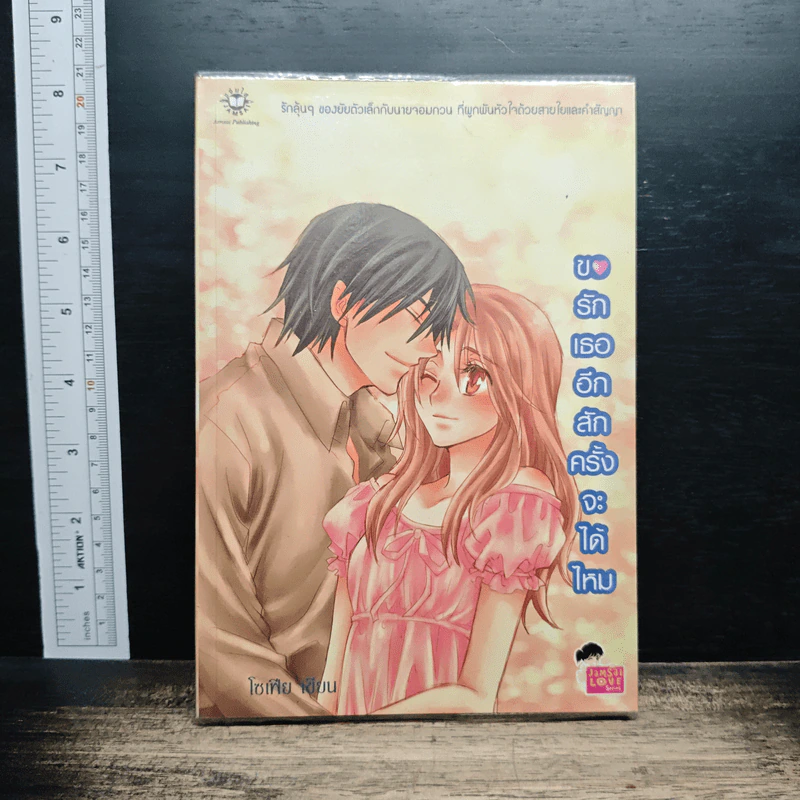 หนังสือ ขอรักเธออีกสักครั้งจะได้ไหม รูปที่ 1