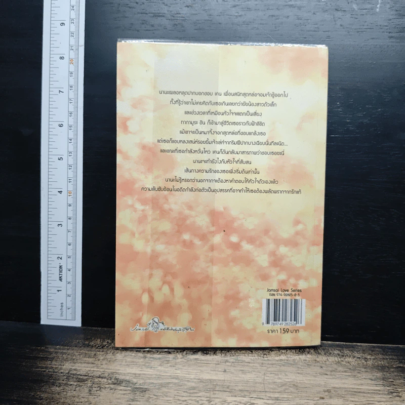 หนังสือ ขอรักเธออีกสักครั้งจะได้ไหม รูปที่ 2