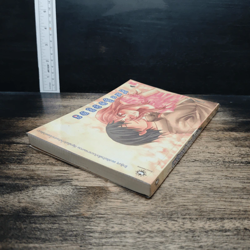หนังสือ ขอรักเธออีกสักครั้งจะได้ไหม รูปที่ 5