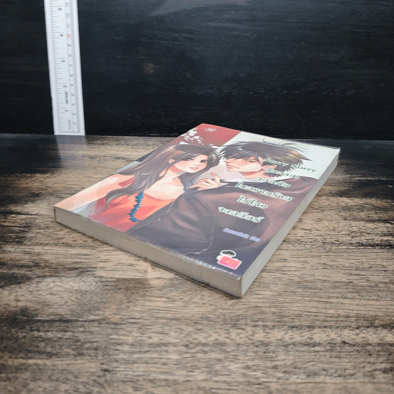 Sorry Sorry อุ๊ยตาย ขออภัยในความร้ายไม่ไหวจะเคลียร์ - หัวสมองตีบตัน รูปที่ 4