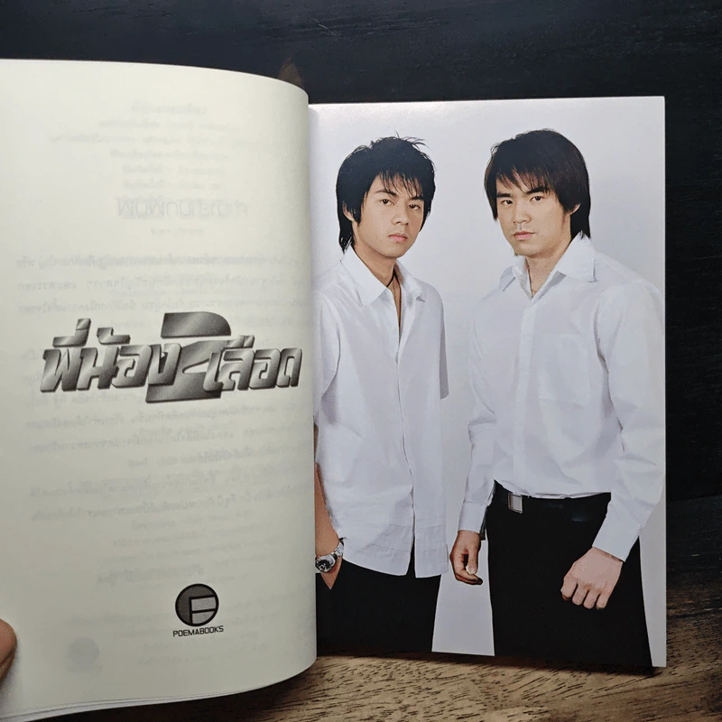 หนังสือ พี่น้อง 2 เลือด รูปที่ 7