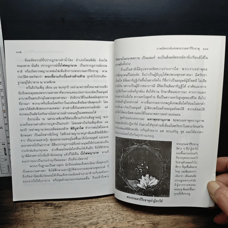 มหัศจรรย์แห่งมหาพุทธานุภาพ ตอน ปราบมารและโปรดธรรม รูปที่ 9