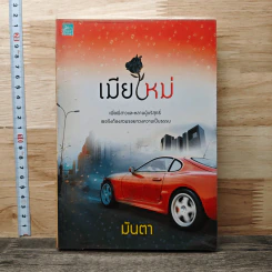 เมียใหม่ - มันตา